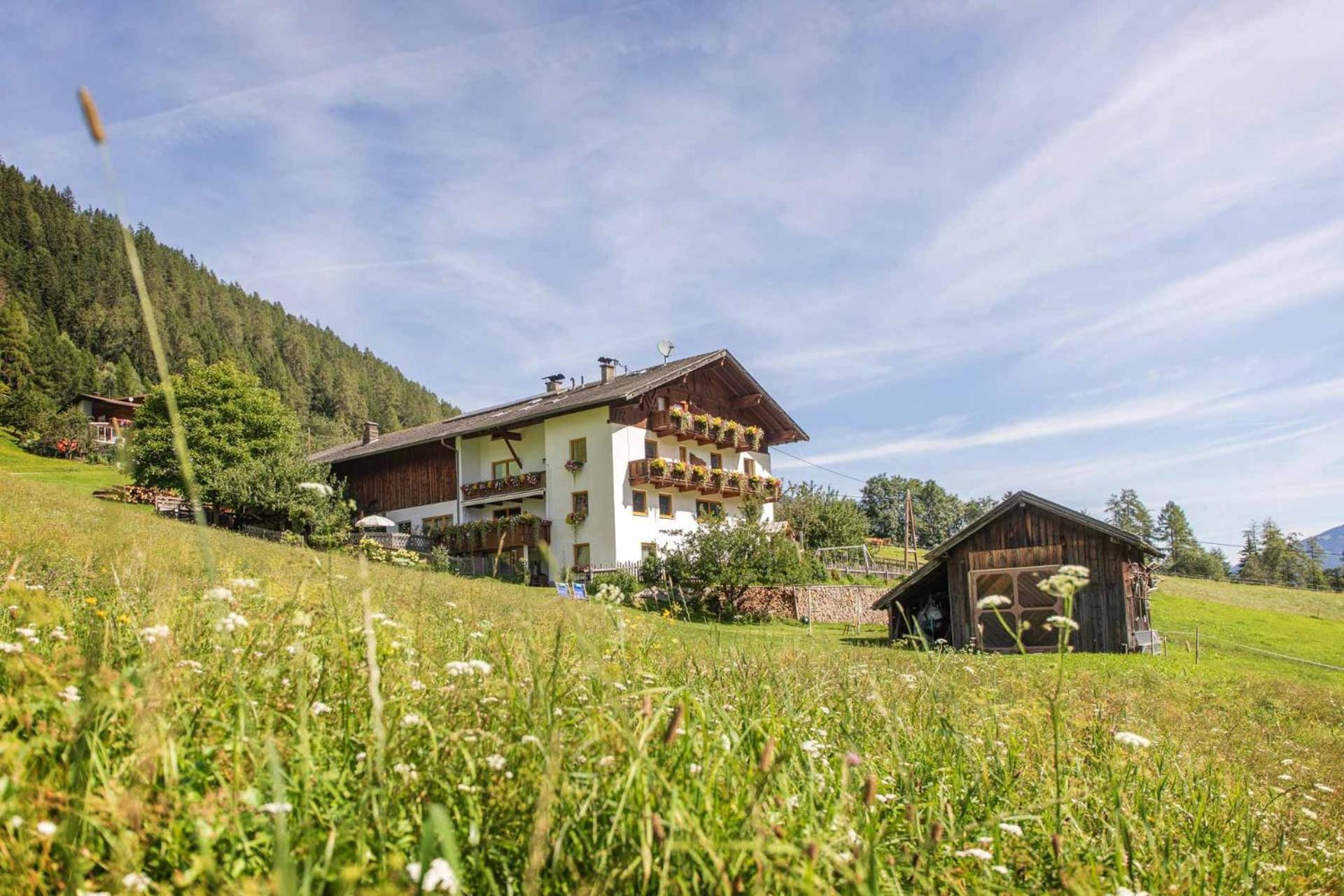 Omesbergerhof Villa Neustift im Stubaital Ngoại thất bức ảnh
